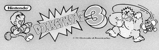 Donkey Kong 3