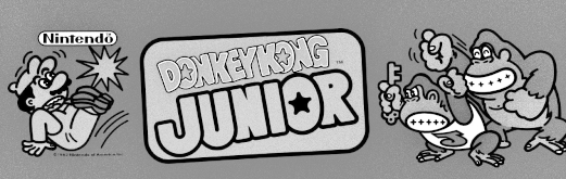 Donkey Kong Jr.